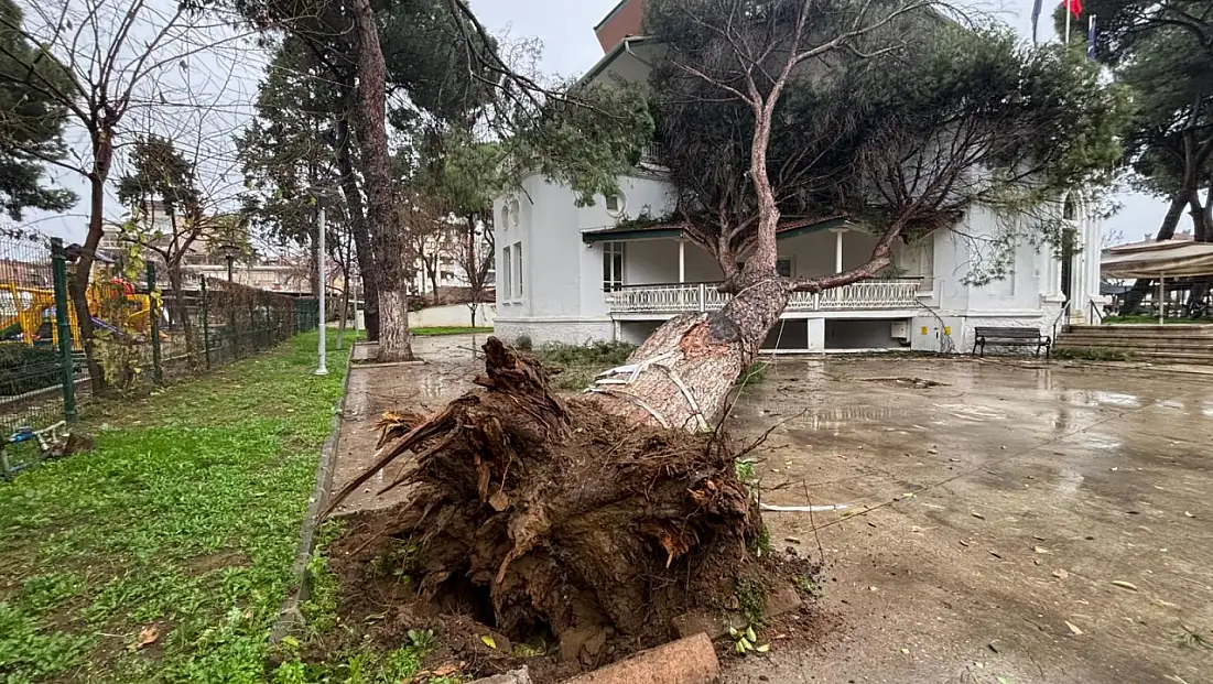 İZMİR BÜYÜKŞEHİR’İN ÖDEMİŞ’TEKİ HİZMET BİNASINA ASIRLIK AĞAÇ DEVRİLDİ