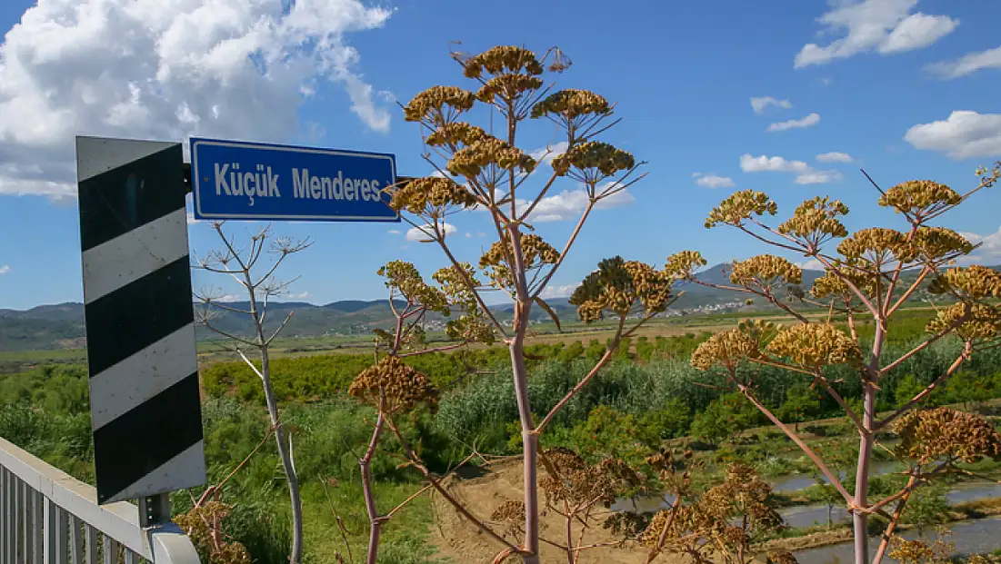 ZEYTİNLİKLER KAZANDI, MADEN DURDU