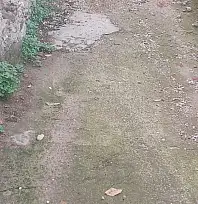 BADEMLİ'DE YILLARDIR BEKLEYEN YOL SORUNU SABIRLARI ZORLUYOR