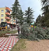 BAŞKAN ŞAKİR BAŞARAN'DAN BEYDAĞ'DA YOĞUN ÇALIŞMA DÖNEMİ