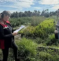 Bayındır'da Süs Bitkisi Projesi Teknik Denetimden Geçti