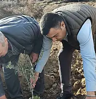 BBP Ödemiş İlçe Teşkilatından Üzümlü Mahallesi'nde Anlamlı Fidan Dikimi