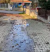 Gölcük Mahallesi Çiçek Sokak'ta Su Sızıntısı Vatandaşları Endişelendirdi