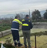 HAVUZDA MAHSUR KALAN TİLKİYİ, TİRE BELEDİYESİ EKİPLERİ KURTARDI