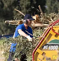 İzmir Büyükşehir Belediyesi Yeşil Atıkları Kompost Gübreye Dönüştürüyor: Ekolojik ve Ekonomik Dönüşüm