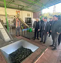 KAYMAKAM ERDOĞAN'DAN BİRGİ'DE ZEYTİNYAĞI FABRİKASINA ZİYARET