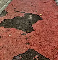 ÖDEMİŞ'E BU GÖRÜNTÜ YAKIŞMIYOR