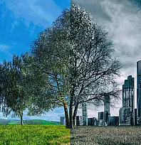 Ödemiş'te Hava Kirliliği Alarm Veriyor