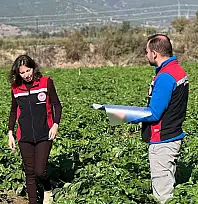 Ödemiş'te İyi Tarım Uygulamaları Denetimleri Sürüyor