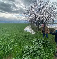 Ödemiş'te sağanak yağış sonrası inceleme