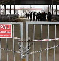 Ödemiş'te şap hastalığı kısıtlamaları güncellendi