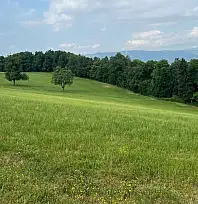 Ödemiş'te Taş Ocağına İzin Çıkmadı