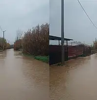 ÖDEMİŞ'TE YAĞMUR ÇİLESİ: SUNGURLU MEZARLIĞI YOLU GEÇİT VERMİYOR