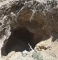 Ödemiş'te Yürekleri Ağıza Getiren Kurtarma: 80 Yaşındaki Adam 10 Metrelik Kuyudan Canlı Çıkarıldı