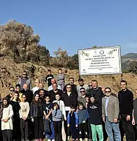 Sağlık-Sen İzmir 2 No'lu Şubeden Üzümlü Köyü'ne 'Hatıra Zeytin Bahçesi'