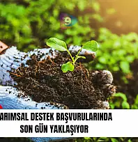Tarımsal destek başvurularında son gün yaklaşıyor