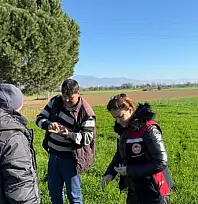 TİRE'DE TARLA ZARARLILARI YERİNDE İNCELENDİ