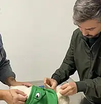 Tire İlçe Tarım ve Orman Müdürlüğü'nden Evcil Hayvan Sahiplerine Çağrı