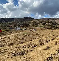 Üzümlü Mahallesi'nde Yangın Sonrası Fidan Dikimiyle Doğa Yeniden Hayat Buluyor