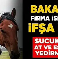 VATANDAŞA AT ETİ YEDİRMİŞLER! BAKANLIK MARKAYI VE ÜRETİLDİĞİ İLİ AÇIKLADI