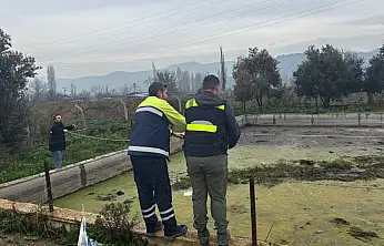 HAVUZDA MAHSUR KALAN TİLKİYİ, TİRE BELEDİYESİ EKİPLERİ KURTARDI