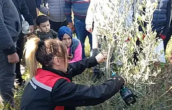 KİRAZ'DA ZEYTİN YETİŞTİRİCİLİĞİ KURSU DÜZENLENDİ