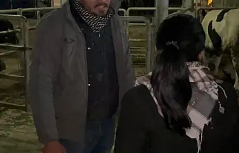 Küçük Menderes'i şap vurdu, ticaret durdu, üretici çaresiz: Bakanlık göreve!