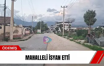 Mahalleli isyan etti