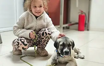 ÖDEMİŞ'TE EVCİL HAYVANLAR İÇİN MİKROÇİP VE KUDUZ AŞISI UYGULAMASI SÜRÜYOR