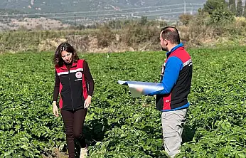 Ödemiş'te İyi Tarım Uygulamaları Denetimleri Sürüyor