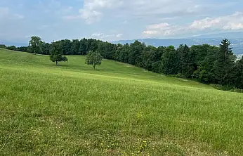 Ödemiş'te Taş Ocağına İzin Çıkmadı