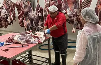 Tire'de Et İşleme Tesislerinde Gıda Güvenliği Denetimi Yapıldı