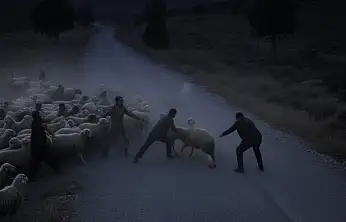 Tire'de Koyun Tartışması Kanlı Bitti, 2 Kişi Yaralandı