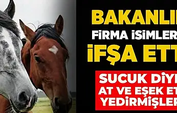VATANDAŞA AT ETİ YEDİRMİŞLER! BAKANLIK MARKAYI VE ÜRETİLDİĞİ İLİ AÇIKLADI