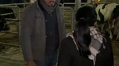 Küçük Menderes'i şap vurdu, ticaret durdu, üretici çaresiz: Bakanlık göreve!