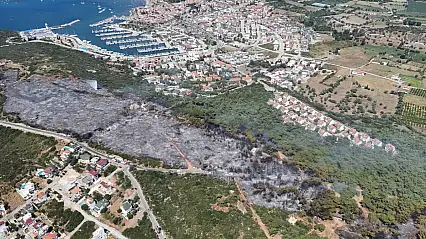 Seferihisar'da Yangın Felaketi: Doğankent Sitesi'nde 85 Ev Kül Oldu
