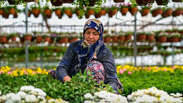 24. Uluslararası Bayındır Çiçek Festivali zamanı!