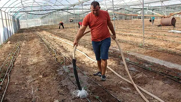 45 bin dekar alanda 130 milyon fidan toprakla buluştu