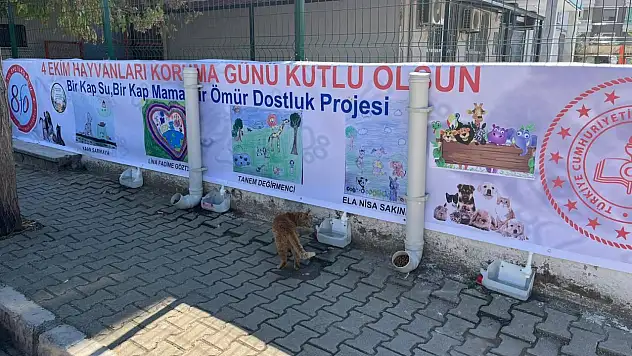 80. Yıl Efe İlkokulundan Anlamlı Proje: 'Bir Kap Su, Bir Kap Mama, Bir Ömür Dostluk'