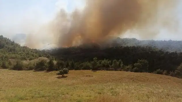 Adana’da orman yangını