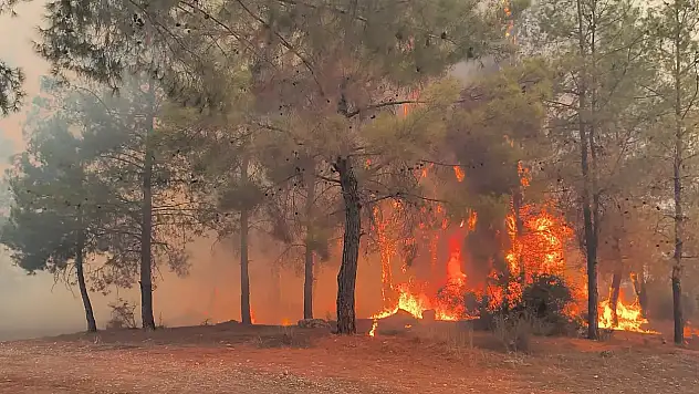 Antalya'da Orman Yangını Kritik Boyuta Ulaştı: Alevler Tarihi Perge Antik Kenti'ne Yaklaşıyor