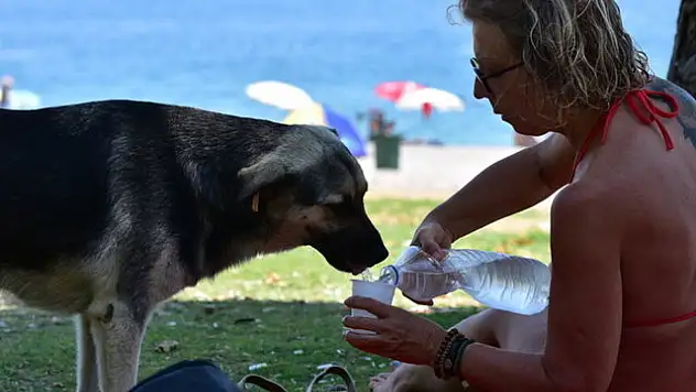 Antalya’da sıcaklık 44 derece