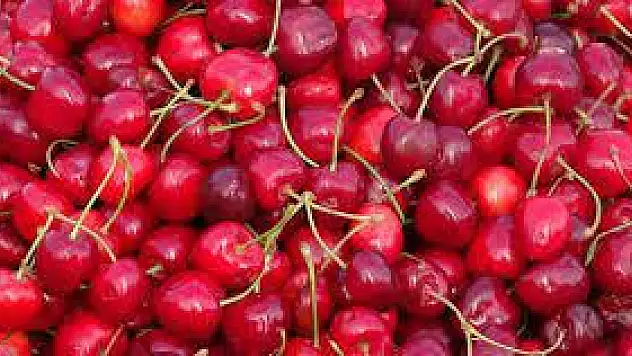 Bahçede 10, markette 30