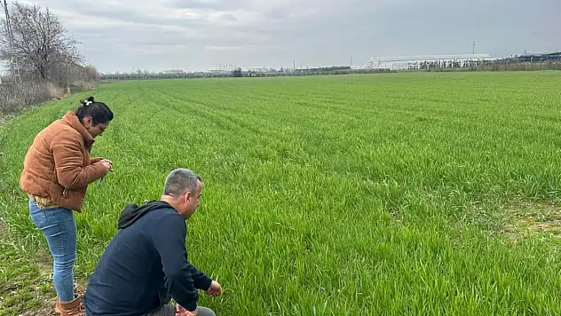 Bayındır'da TÜKAS Kayıt Çalışmaları ve Tarımsal Kontroller Devam Ediyor