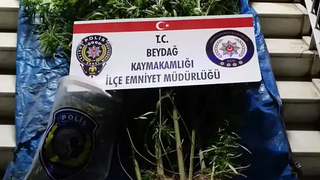Beydağ'da uyuşturucu operasyonu: 1 kişi tutuklandı