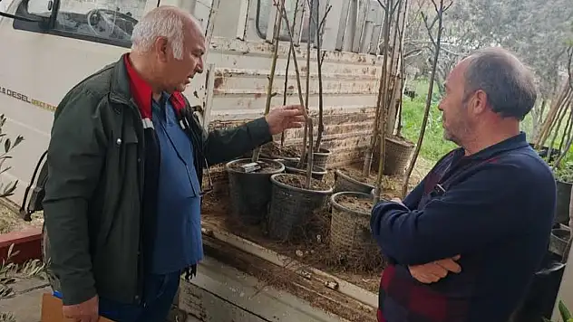Beydağ Fidan Pazarı Denetimde