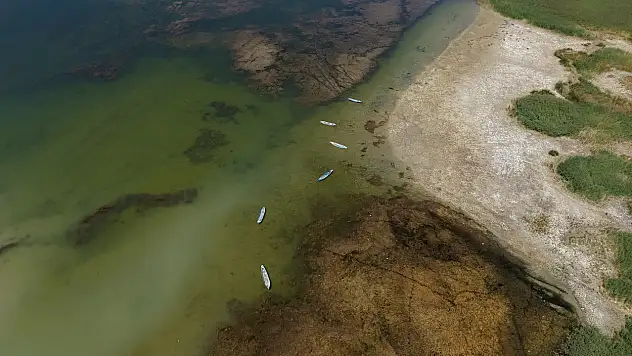 Beyşehir Gölü Kuruyor: Türkiye'nin 3. Büyük Tatlısu Gölü Alarm Veriyor