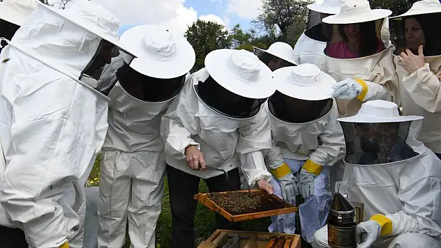Bornova Belediyesi’nden arıcılık eğitimi