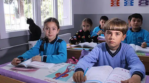 Bu okulda herkes hayvansever