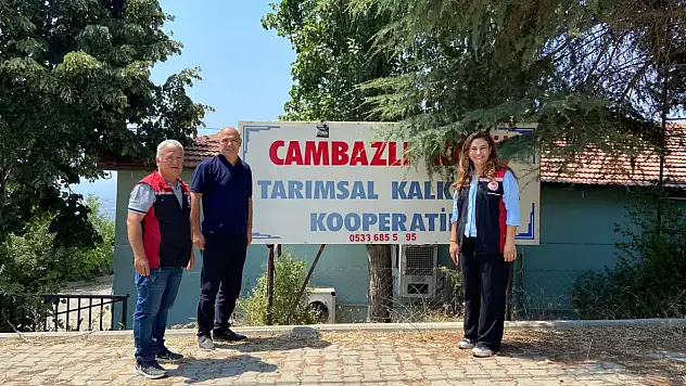 Cambazlı'da Ekşi Karadut Hasadı Devam Ediyor
